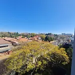 Tree Tops - Houghton