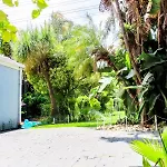Corgi Guest House