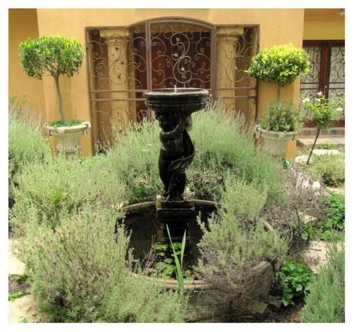 The Lemon Tree Self- Catering *