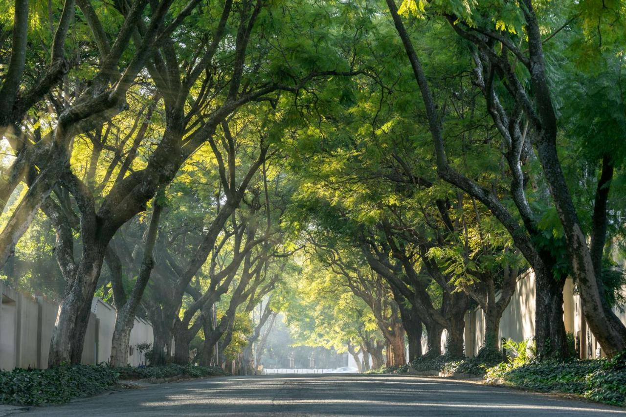 Hotel Radisson Red Rosebank 4*