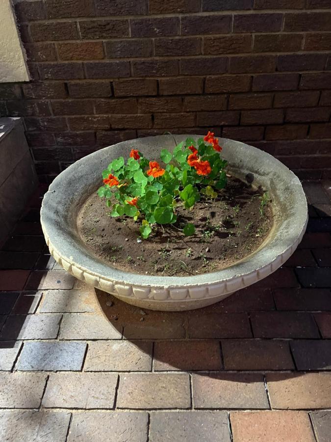 Fleurhof Apartamento *