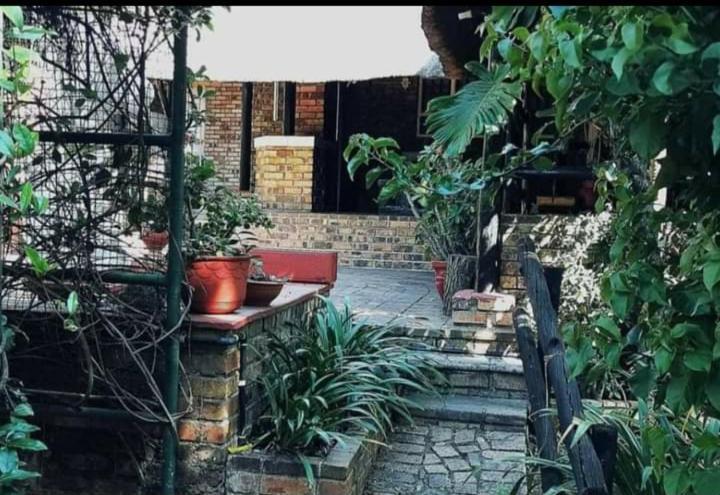 497 Orient * Johannesburg