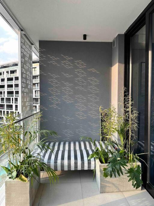 Apartment Explore - Ellipse Waterfall *