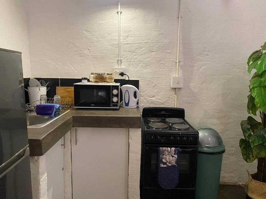 Apartment Maboneng Oasis