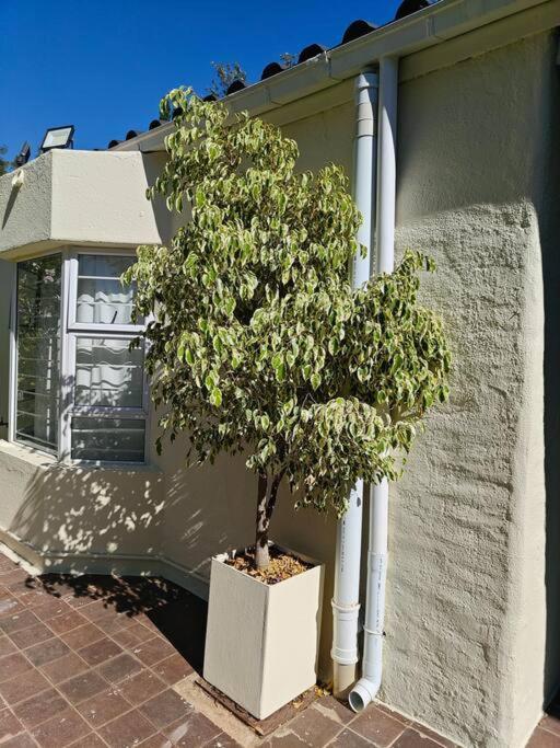 Blessed House Luxury Into Nature In Sandton *