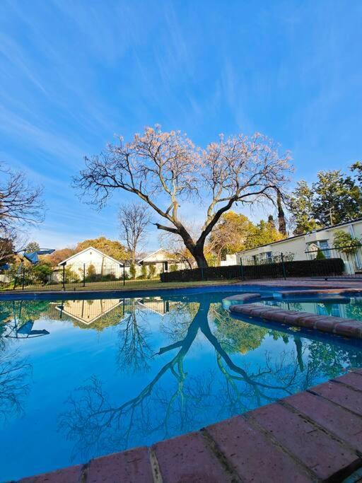 Blessed House Luxury Into Nature In Sandton Holiday home *