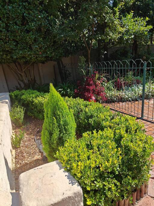 Blessed House Luxury Into Nature In Sandton Johannesburg