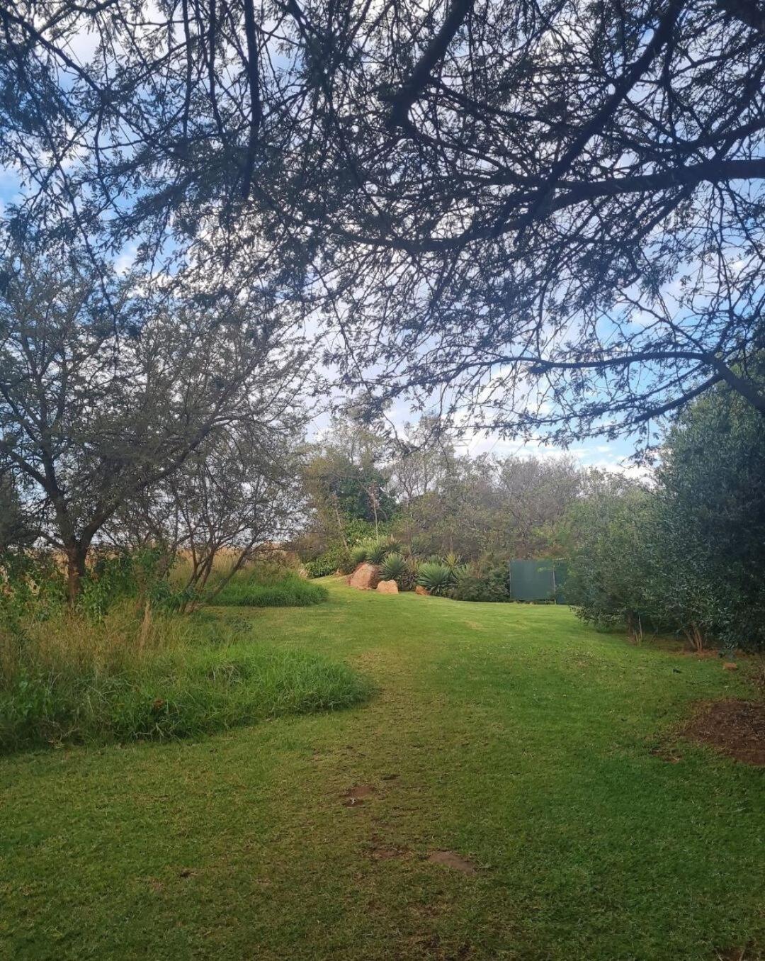 Nature On Your Doorstep! * Johannesburg