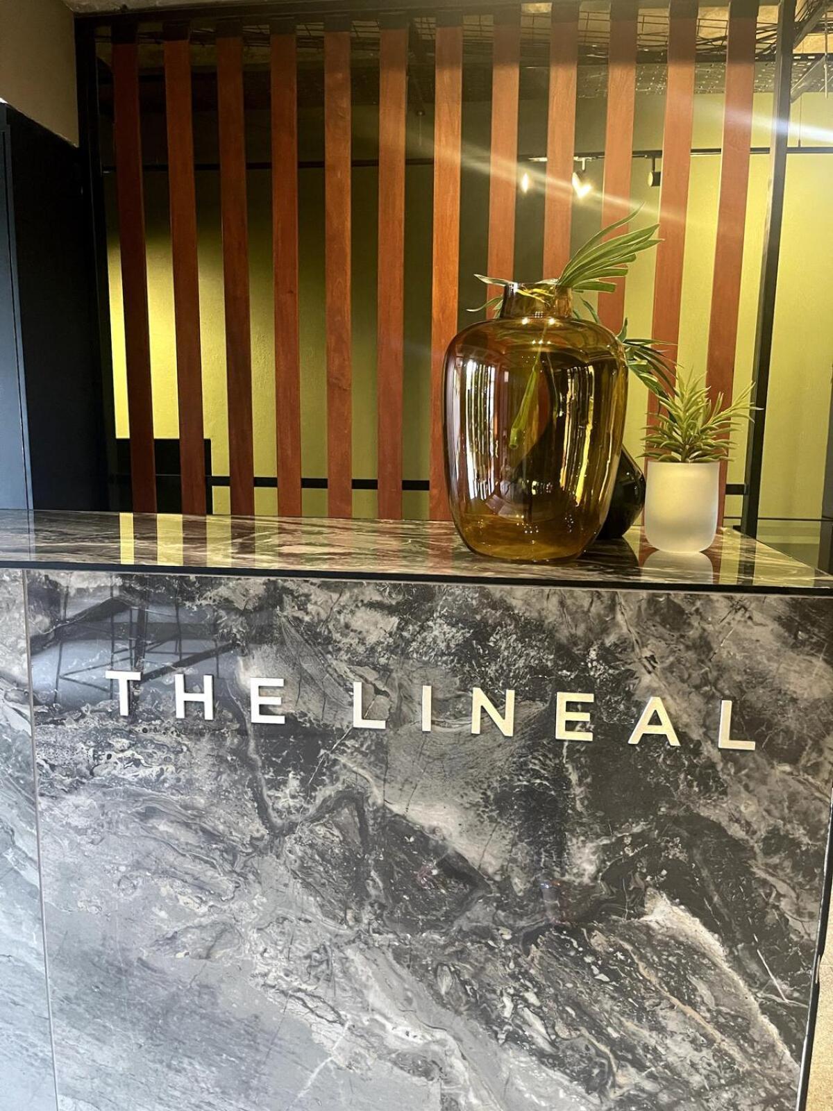 The Lineal 500m To Sandton With Backup Water & Power Apartment Johannesburg