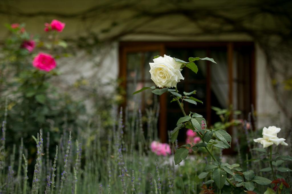 Bed & Breakfast Grace