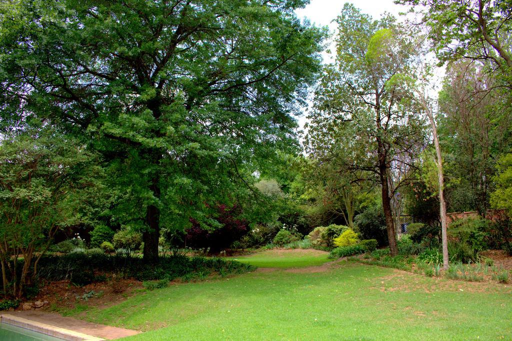 Wild Olive Executive Johannesburg