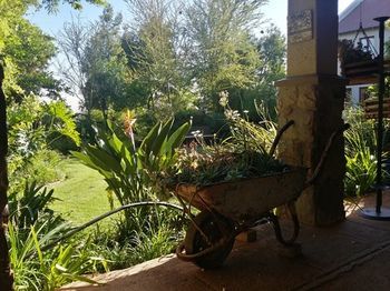 La Vue Guesthouse Johannesburg