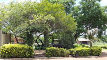 Crystal Rose Hotel