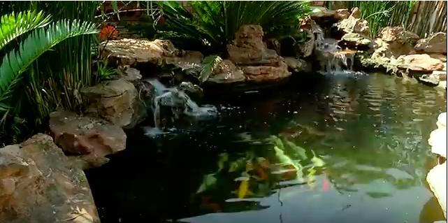 Bed & Breakfast No 5 On Franschoek