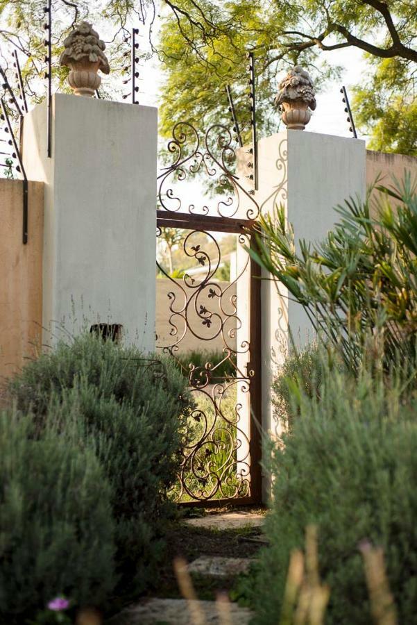 Apartment The Lemon Tree Self- Catering