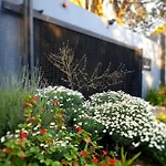 Hadeda Hall