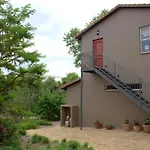 Wild Olive Executive Suite