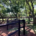 Haizum\'S Equestrian Centre