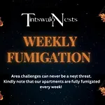 Tintswalo Nests