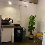 Maboneng Oasis