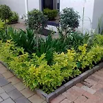 Rosebank Lodge Guesthouse By Claires