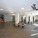 The Solo
