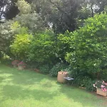 Leafy Cottage
