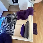 Snowy Purple Condo Sandton