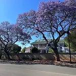 At Jacaranda Lodge