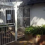Rosebank Lodge & Backpacker