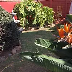 House On Morninghill