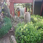 Blackheath Manor Guest House