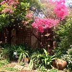 Claires Of Sandton Luxury Guest House