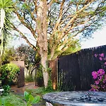 Serendipity Cottage