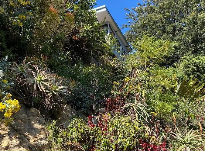 Top Of The Mountain +Pool Northcliff Joburg