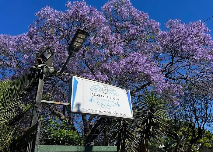 At Jacaranda Lodge