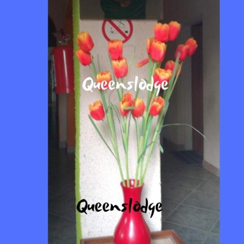 Queenslodge , Your Away From Alojamento