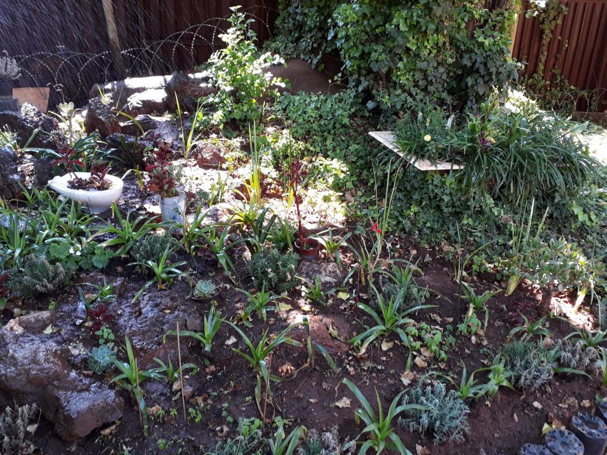 Upper Houghton Bed & Breakfast Johannesburg