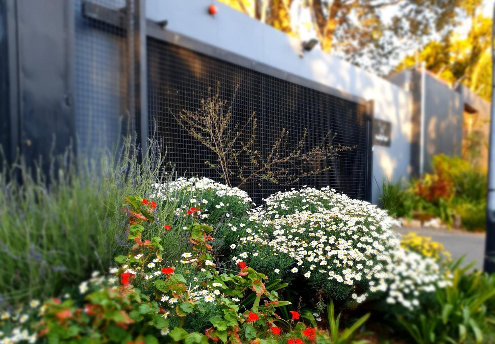 Hadeda Hall Bed & Breakfast Johannesburg