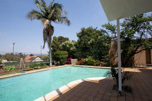 Pine Park Garden * Johannesburg