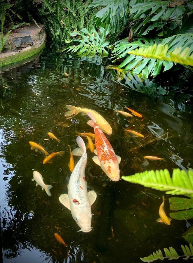 Hyde Park Johannesburg