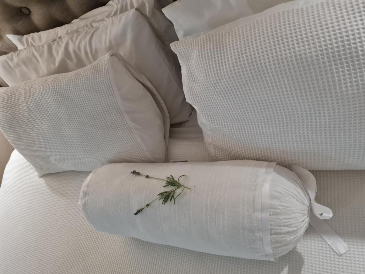 Bio-pointment Guest * Johannesburg