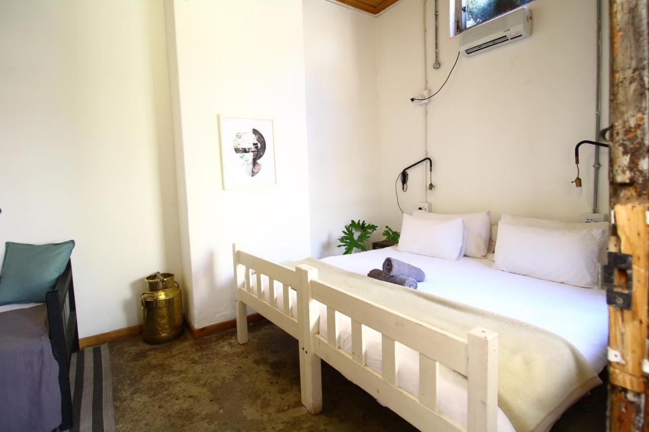 Curiocity Backpackers Albergue *