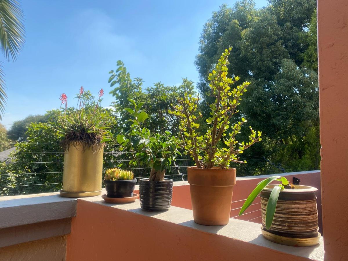 Harken House, Your Away From Home! Johannesburg
