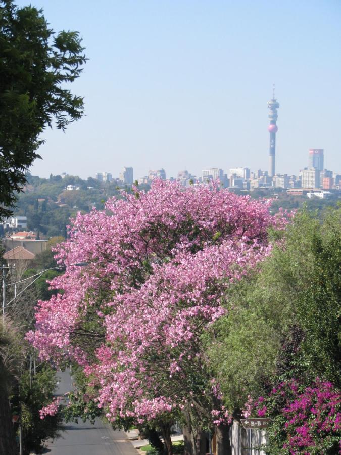 Agterplaas Pty Ltd 3* Johannesburg