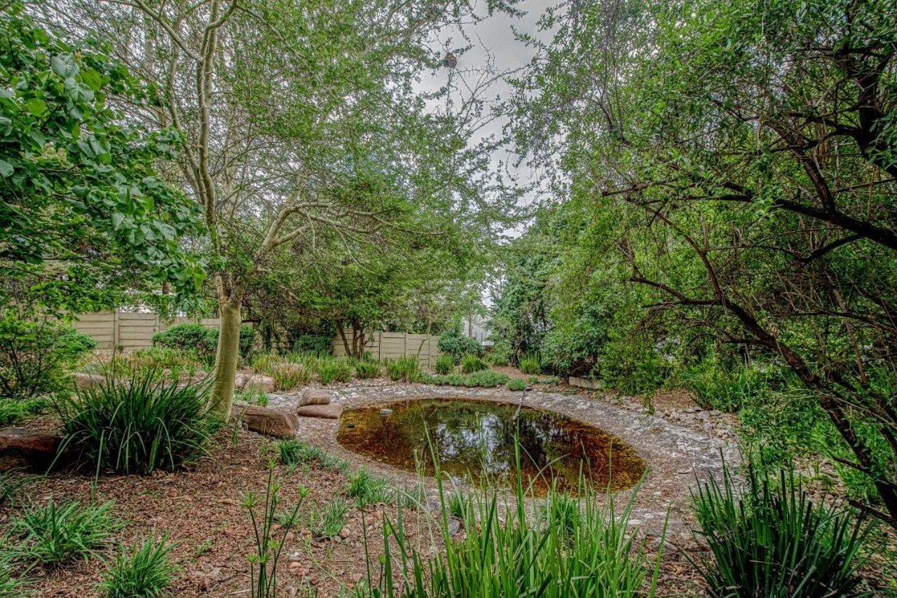 Bed & Breakfast Wild Olive Executive Johannesburg