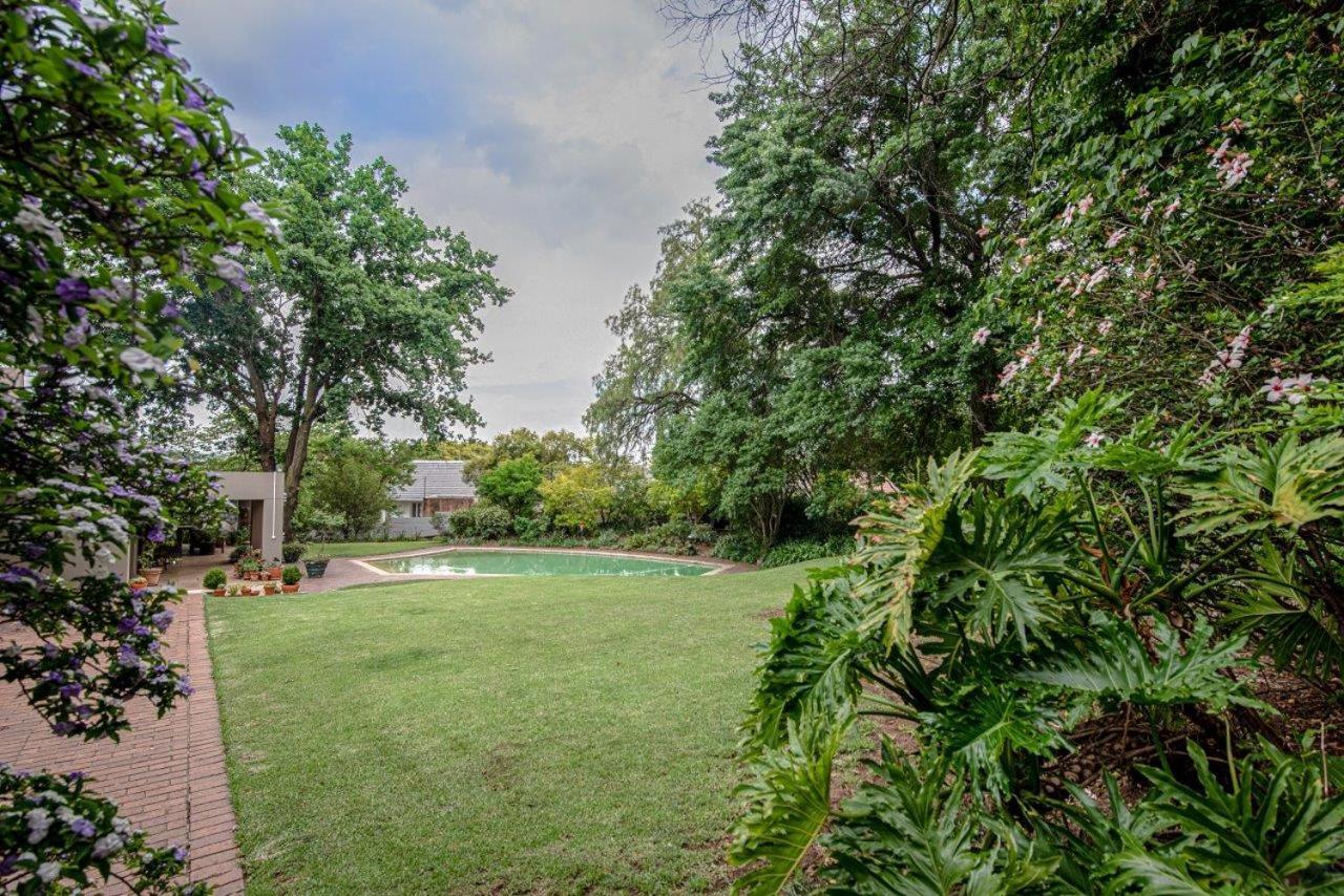 Bed & Breakfast Wild Olive Executive