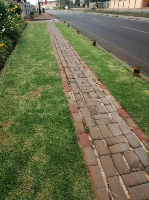 Hadeda * Johannesburg