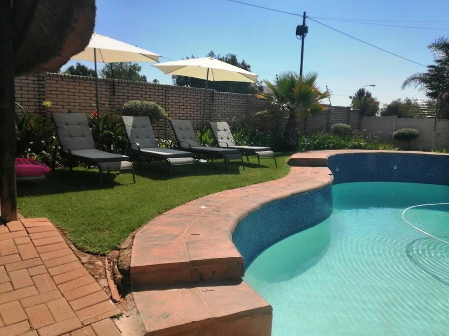 Hadeda Johannesburg