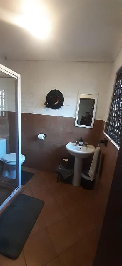 Pantera & Cheetah Johannesburg